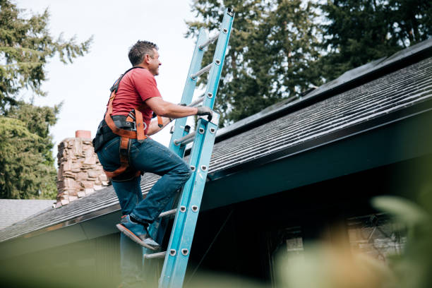Best Roof Maintenance and Cleaning  in Delray Beach, FL
