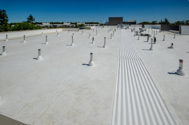 Best Roof Ventilation Installation  in Delray Beach, FL